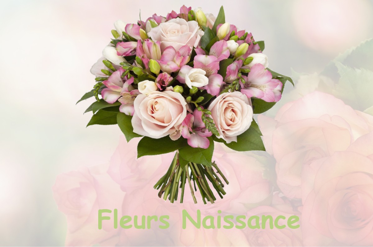 fleurs naissance SEILH