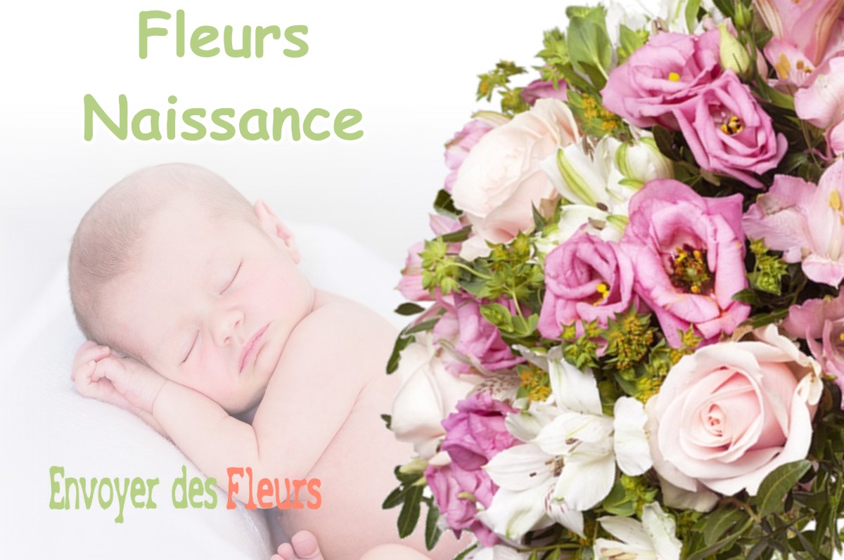 lIVRAISON FLEURS NAISSANCE à SEILH